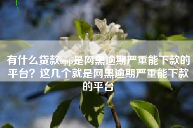 有什么贷款app是网黑逾期严重能下款的平台？这几个就是网黑逾期严重能下款的平台