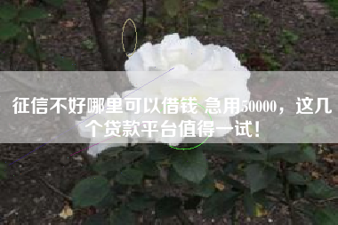 征信不好哪里可以借钱 急用50000，这几个贷款平台值得一试！