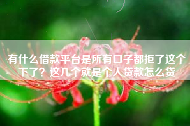有什么借款平台是所有口子都拒了这个下了？这几个就是个人贷款怎么贷