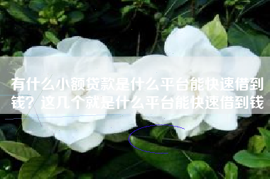 有什么小额贷款是什么平台能快速借到钱？这几个就是什么平台能快速借到钱
