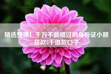 精选整理！千万不能错过的身份证小额贷款5千借款口子