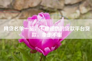 网贷名单一览，不要征信的贷款平台贷款，拿走不谢