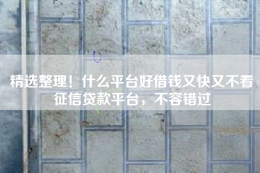 精选整理！什么平台好借钱又快又不看征信贷款平台，不容错过