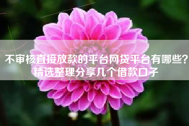 不审核直接放款的平台网贷平台有哪些？精选整理分享几个借款口子
