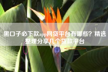 黑口子必下款app网贷平台有哪些？精选整理分享几个贷款平台