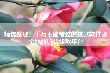 精选整理！千万不能错过的贷款软件哪个比较好贷贷款平台