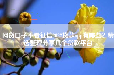 网贷口子不看征信2022贷款app有哪些？精选整理分享几个贷款平台