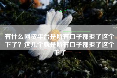 有什么网贷平台是所有口子都拒了这个下了？这几个就是所有口子都拒了这个下了