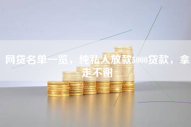 网贷名单一览，纯私人放款5000贷款，拿走不谢