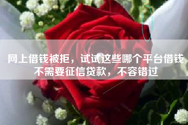 网上借钱被拒，试试这些哪个平台借钱不需要征信贷款，不容错过