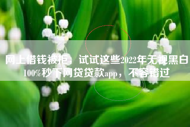 网上借钱被拒，试试这些2022年无视黑白100%秒下网贷贷款app，不容错过