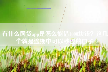 有什么网贷app是怎么能借1000块钱？这几个就是逾期中可以秒过的口子
