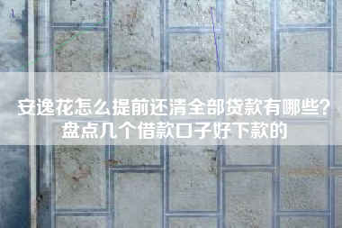 安逸花怎么提前还清全部贷款有哪些？盘点几个借款口子好下款的