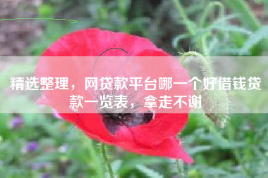 精选整理，网贷款平台哪一个好借钱贷款一览表，拿走不谢