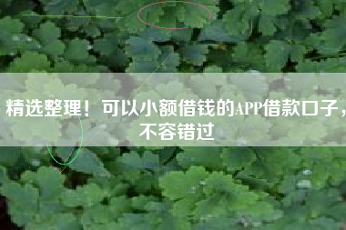 精选整理！可以小额借钱的APP借款口子，不容错过