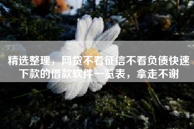 精选整理，网贷不看征信不看负债快速下款的借款软件一览表，拿走不谢