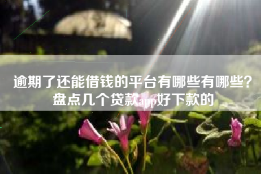 逾期了还能借钱的平台有哪些有哪些？盘点几个贷款app好下款的