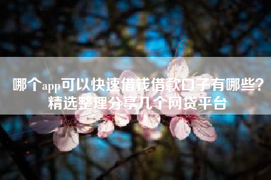哪个app可以快速借钱借款口子有哪些？精选整理分享几个网贷平台