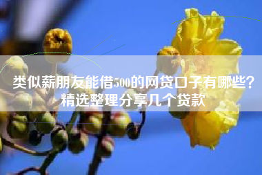 类似薪朋友能借500的网贷口子有哪些？精选整理分享几个贷款