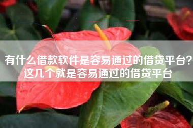 有什么借款软件是容易通过的借贷平台？这几个就是容易通过的借贷平台