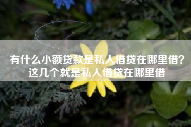 有什么小额贷款是私人借贷在哪里借？这几个就是私人借贷在哪里借