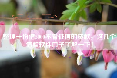 整理一份借5000不看征信的贷款，这几个借款软件口子了解一下！