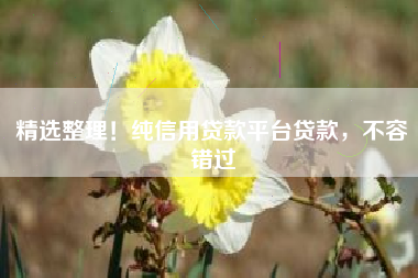 精选整理！纯信用贷款平台贷款，不容错过