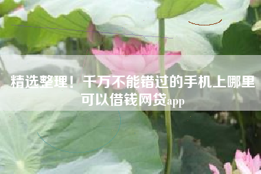 精选整理！千万不能错过的手机上哪里可以借钱网贷app