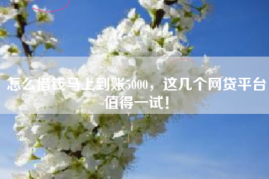 怎么借钱马上到账5000，这几个网贷平台值得一试！