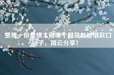 整理一份负债太高哪个网贷能过借款口子，简云分享！