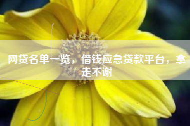 网贷名单一览，借钱应急贷款平台，拿走不谢