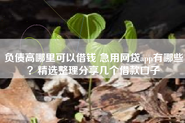 负债高哪里可以借钱 急用网贷app有哪些？精选整理分享几个借款口子