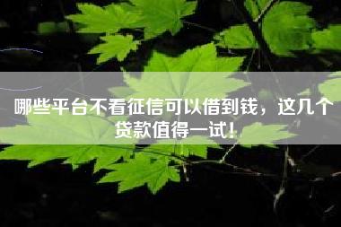 哪些平台不看征信可以借到钱，这几个贷款值得一试！