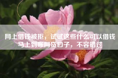 网上借钱被拒，试试这些什么可以借钱马上到账网贷口子，不容错过