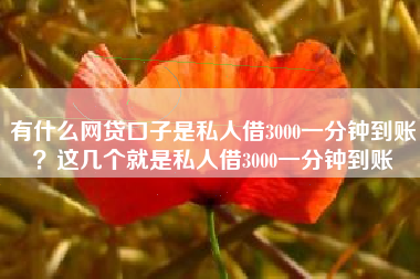有什么网贷口子是私人借3000一分钟到账？这几个就是私人借3000一分钟到账