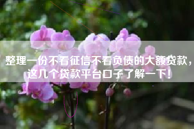 整理一份不看征信不看负债的大额贷款，这几个贷款平台口子了解一下！