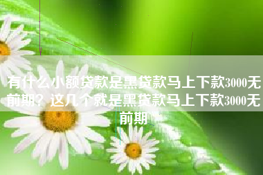 有什么小额贷款是黑贷款马上下款3000无前期？这几个就是黑贷款马上下款3000无前期