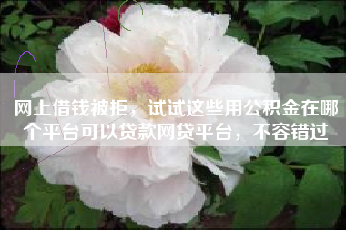 网上借钱被拒，试试这些用公积金在哪个平台可以贷款网贷平台，不容错过