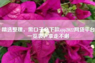 精选整理，黑口子必下款app2022网贷平台一览表，拿走不谢