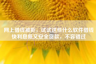 网上借钱被拒，试试这些什么软件借钱快利息低又安全贷款，不容错过