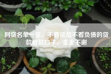 网贷名单一览，不看征信不看负债的贷款借款口子，拿走不谢