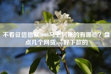 不看征信借款5000马上到账的有哪些？盘点几个网贷app好下款的