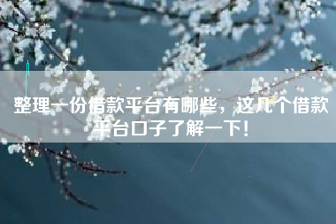 整理一份借款平台有哪些，这几个借款平台口子了解一下！