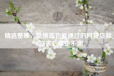 精选整理，负债高也能通过的网贷贷款一览表，拿走不谢