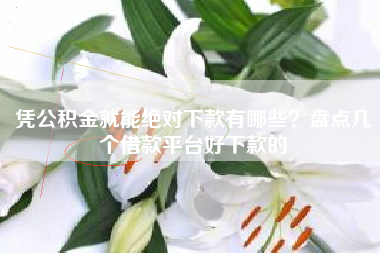 凭公积金就能绝对下款有哪些？盘点几个借款平台好下款的