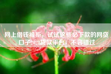 网上借钱被拒，试试这些必下款的网贷口子2022贷款平台，不容错过