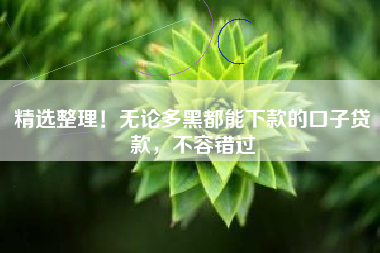 精选整理！无论多黑都能下款的口子贷款，不容错过