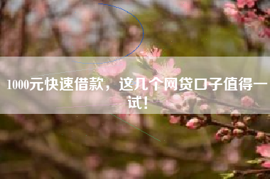 1000元快速借款，这几个网贷口子值得一试！