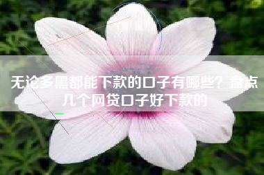 无论多黑都能下款的口子有哪些？盘点几个网贷口子好下款的