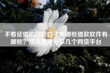 不看征信的网贷口子有哪些借款软件有哪些？精选整理分享几个网贷平台